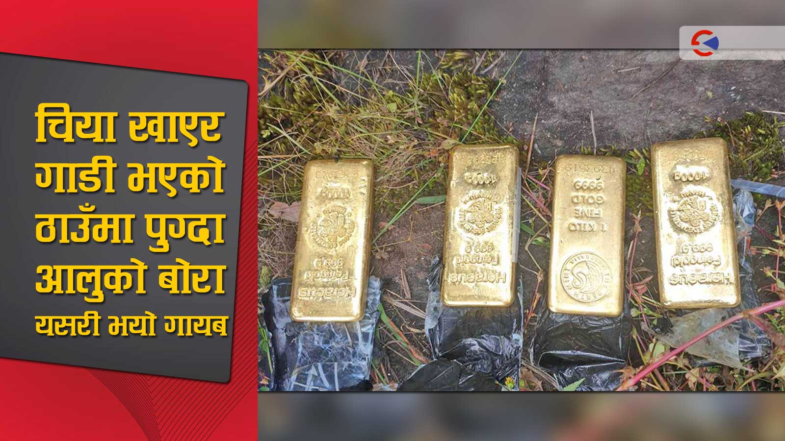 आलुको बोराले यसरी खोल्यो सुन तस्करको पोल, भटाभट ११ किलो सुन पक्राउ