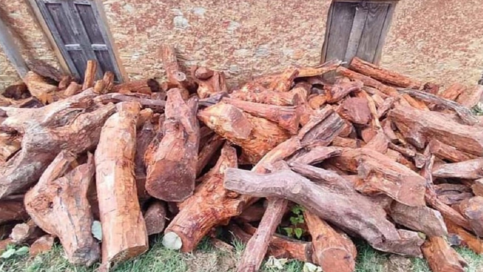खोटाङमा खयर चोरी निकासीमा संलग्न ठेकेदारसहित ६ जना विरुद्ध पक्राउ पूर्जी, प्रहरीले वास्तै गरेन