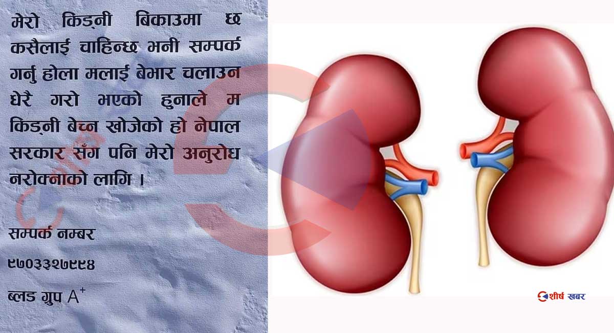 वैंकको ऋण तिर्न मृगौला लिलामीमा, टल वहादुरले जारी गरे सार्वजनिक सूचना