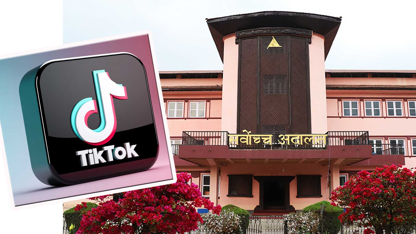 टीकटक प्रकरणमा सर्वोच्चको सरकारलाई १५ दिने आदेश