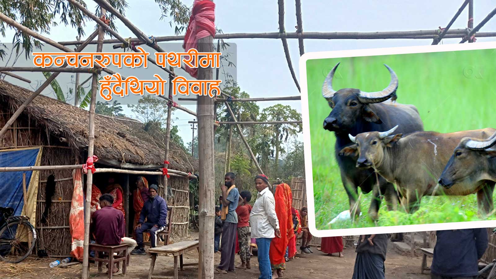 डोलीमा चढने अघिल्लो दिन रन्जुलाई अर्नाले चितामा पुर्यायो