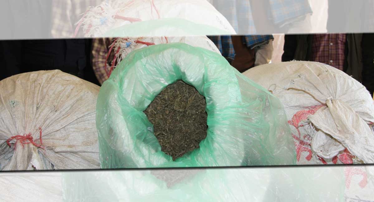 छिन्नमस्तामा फालेको बोरा चेकजाँच गर्दा १ क्विन्टल गाँजा बरामद