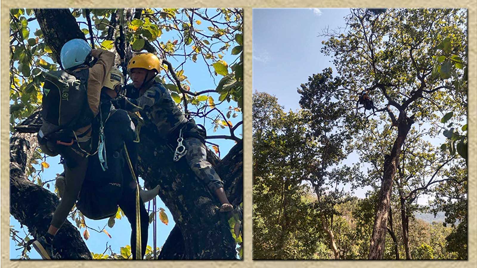 उदयपुरमा हावाले अनियन्त्रित भई रुखमा अड्किएको प्याराग्लाईडसहित २ जनाको उद्वार