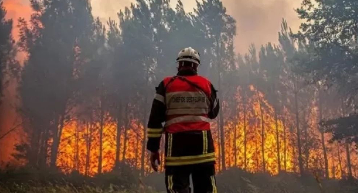 आगलागी नियन्त्रणका क्रममा घाईते भएका ४ मध्ये ३ सैनिकको मृत्यु