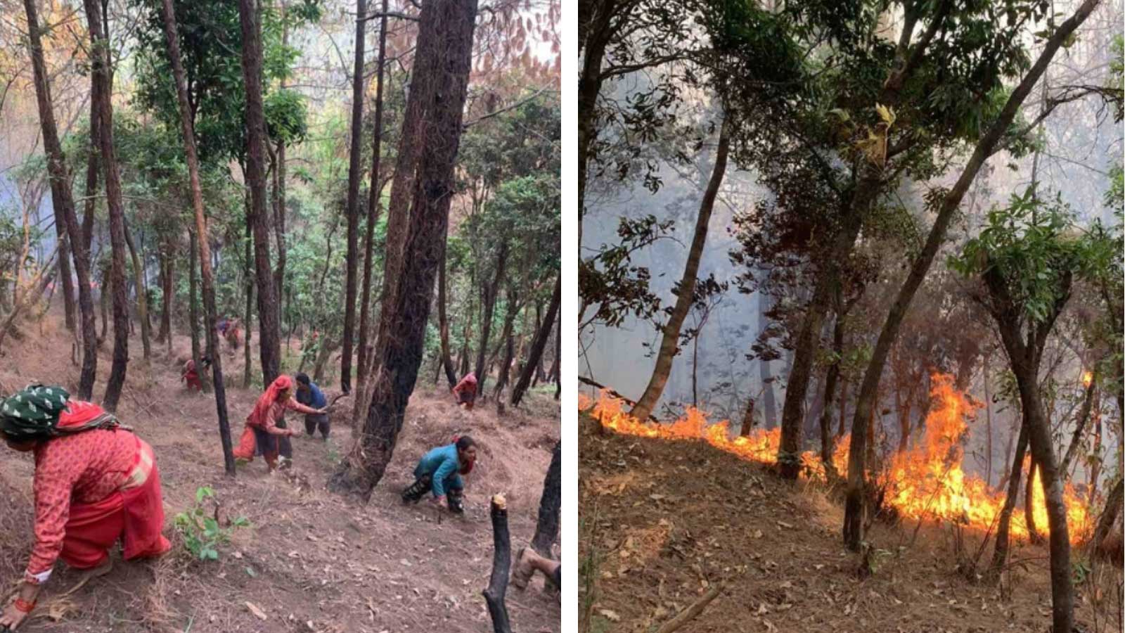 ललितपुरमा डढेलो निभाउने क्रममा जलेर २ जनाको मृत्यु