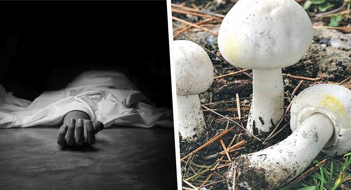 मकवानपुरको विकट गाउँमा जंगली च्याउ खाँदा १ जनाको मृत्यु, परिवारका ४ सदस्य विरामी