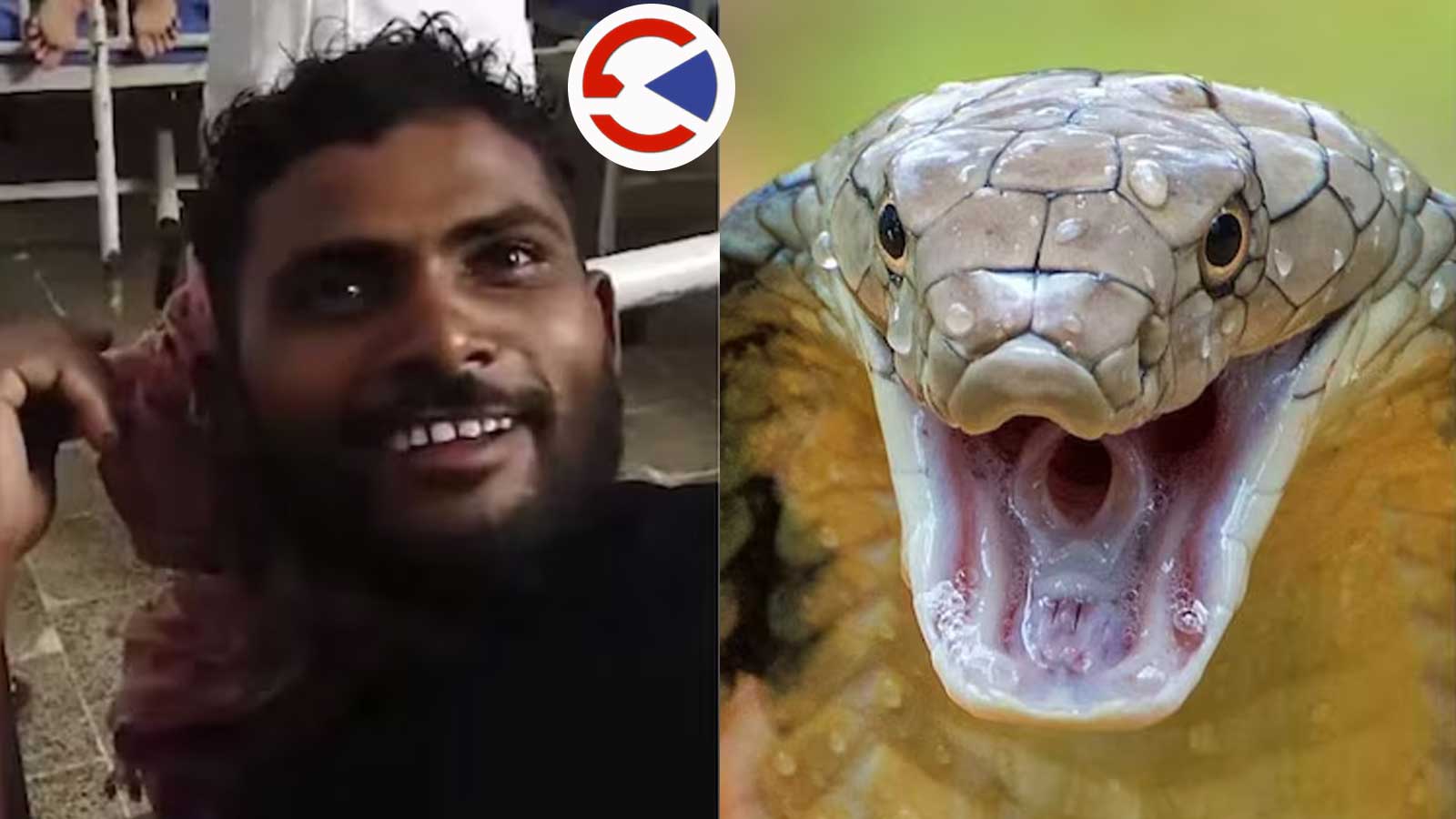 विहारमा एक युवकले टोक्दा सर्प मर्यो, सर्पले टोकेका युवक सुरक्षित