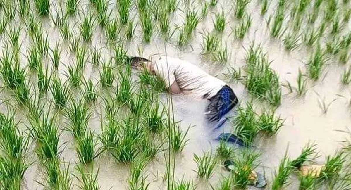 सप्तरीमा बन्द इट्टाभट्टाका मुन्सी धानखेतमा मृत भेटिए