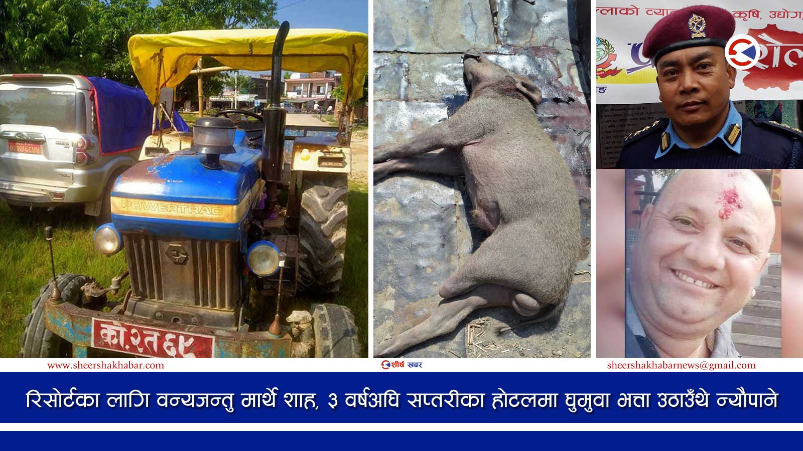 गोली हानेर मारिएको बँदेल बेवारिसे देखाएर पूर्वडीआईजी र बहालवाला सईलाई उन्मुक्ति