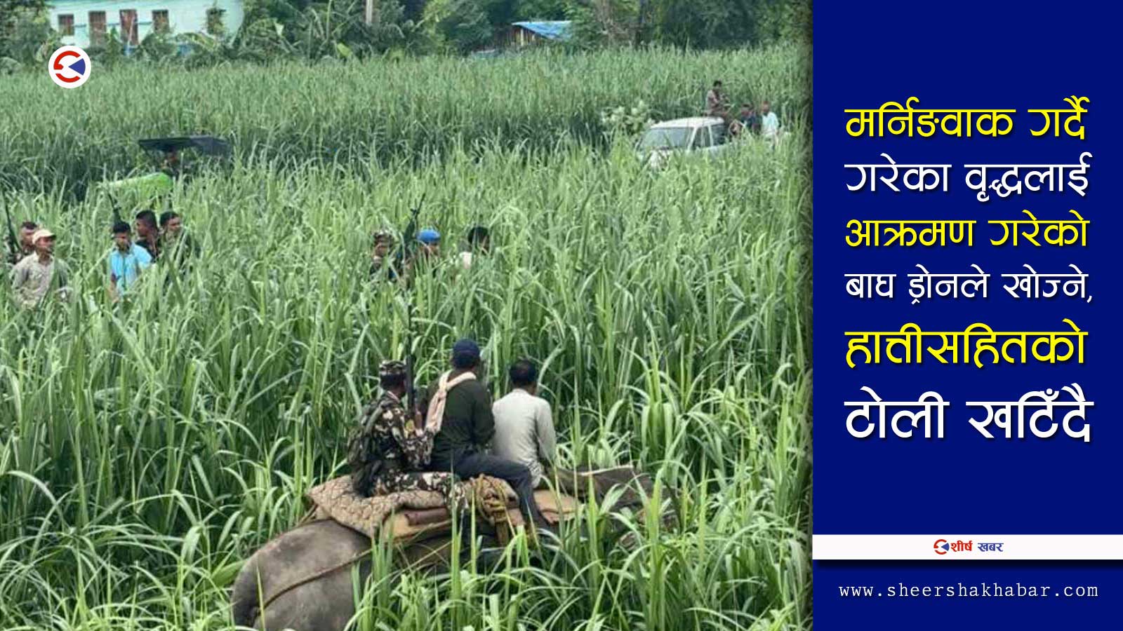 बाघको आक्रमणमा परेका वृद्धको ३ वटा हड्डी भाँचियो, ५ वटा नक्कली दाँत घाँटीमा