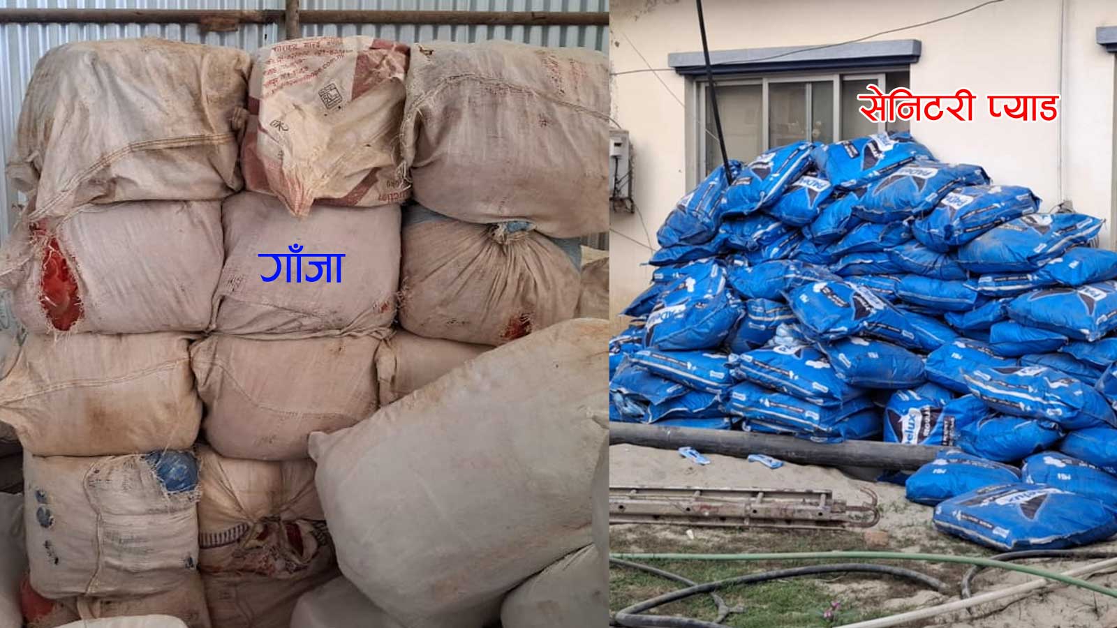 गाँजा गोदाम पत्रकार महासंघकी केन्द्रिय सदस्य ललिताकै भएको पुष्टि, महासंघ अध्यक्षले किन काँध थापे ?