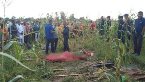 सप्तरीमा जंगली हात्तीको आक्रमण परी मकै रुँघ्न बारीमा बसेका किसानको मृत्यु