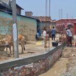 सिरहाको थलहामा दलित बस्तीको बाटो छेकेर मन्दिरमा पर्खालः जातीय विभेद गरेको आरोप