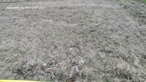 मोरङमा पाँच वर्षीया बालिकाको शव फेला, बलात्कारपछि हत्या गरिएको आशंका
