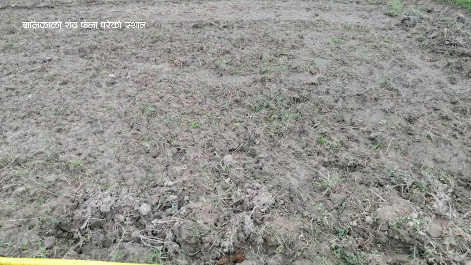 मोरङमा पाँच वर्षीया बालिकाको शव फेला, बलात्कारपछि हत्या गरिएको आशंका