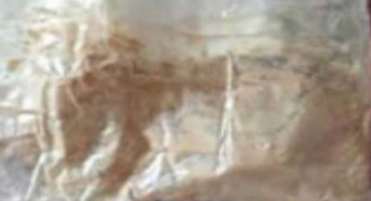सिरहामा लागुऔषधसहित दुई जना पक्राउ