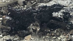 प्रचण्ड पुत्री गंगा दाहालको घर र पोखराको गाडी सोरुममा मृत फेला परेका युवा–युवतीको पहिचान खुल्यो