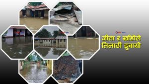 तिलाठी कोईलाडीमा बाढीको कहरः ५ वटा वडामा पानी पस्दा सयौँ घर डुबानमा (फोटो फिचर)