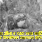 बलात्कार मुद्दामा सफाइ पाएपछि परस्त्रीसँग अवैद्य सम्बन्धः रहस्य खुल्ने डरले प्रेमीकाको निर्मम हत्या