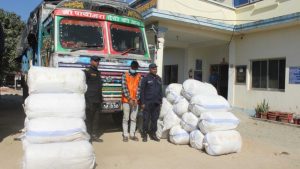 सप्तरीमा फेरी १० क्विन्टल गाँजासहितको ट्रक पक्राउ, के हुँदैछ २४५१ किलो गाँजा प्रकरण ?