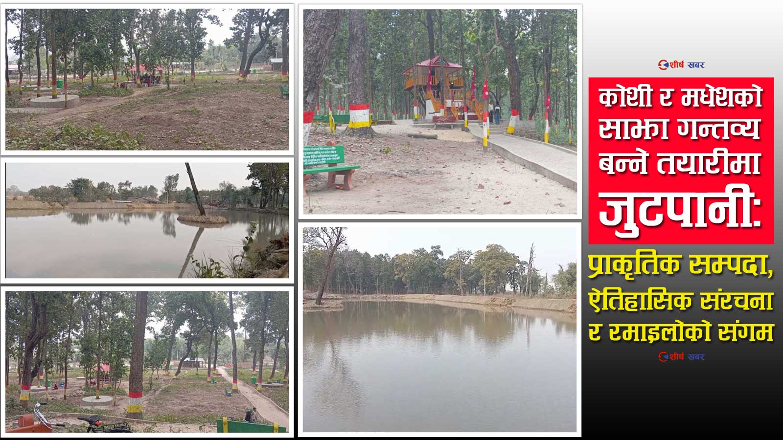 सप्तरीको फत्तेपुर बन्दैछ नयाँ पर्यटन हबः सामुदायिक वनमै ट्रि–हाउस, बोटिङ र मिनी चिडियाघर (फोटो फिचर)