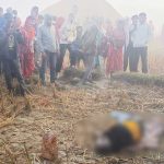 सप्तरीमा हात्तीको आक्रमणमा धान रुघ्न खेतमा वसेका ६५ वर्षीय खंगको मृत्यु