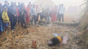 सप्तरीमा हात्तीको आक्रमणमा धान रुघ्न खेतमा वसेका ६५ वर्षीय खंगको मृत्यु
