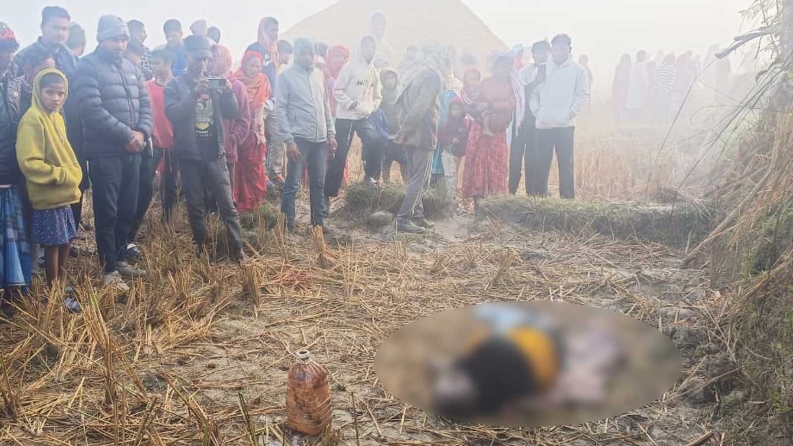 सप्तरीमा हात्तीको आक्रमणमा धान रुघ्न खेतमा वसेका ६५ वर्षीय खंगको मृत्यु