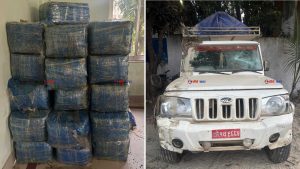 सप्तरीमा खेतमा पल्टिएको पिकअपमा ८ क्विन्टल गाँजा बरामद, चालक पक्राउ