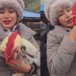 धादिङ–१ मा घण्टीको तमासाः कुखुरा–बाख्रासँग भोट माग्दै आशिका तामाङ, मतदाताले सोधे नीति र योजना खै ?