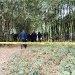 सिरहामा दिनदहाडै गोली हानेर खेत जोत्दै गरेका प्रेमनाथ यादवको हत्या