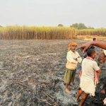 सिराहामा ३० बिगहामा लगाएको करोडौंको उखु खरानीः यो दुर्घटना हो कि किसानमारा अपराध!