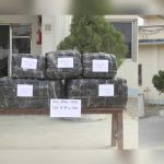 सप्तरीमा अटो रिक्सामा गाँजा तस्करीः एक क्विन्टलभन्दा बढी गाँजासहित चालक र महिला पक्राउ