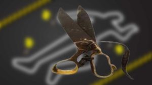 लागुऔषधको नशाले ‘दानव’ बनेका किशोरद्वारा कैंचीले हानेर वृद्धाको निर्मम हत्या