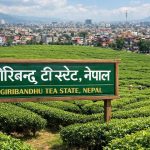 गिरिबन्धुदेखि गृहमन्त्रीसम्मः हदबन्दी कानुनको खेल कि पहुँचको प्रभाव ?