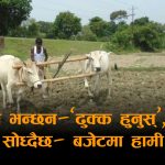 बजेटमा मधेशः जनकपुरलाई विवाह पर्यटन– किसानलाई आश्वासन, मधेश फेरी उपेक्षाको सिकार