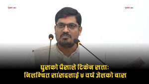 भ्रष्टाचार मुद्दा लागेका जसपाका निलम्बित सांसद सरोज सिंहलाई ४ वर्ष जेल, ३८ लाखभन्दा बढी जफत