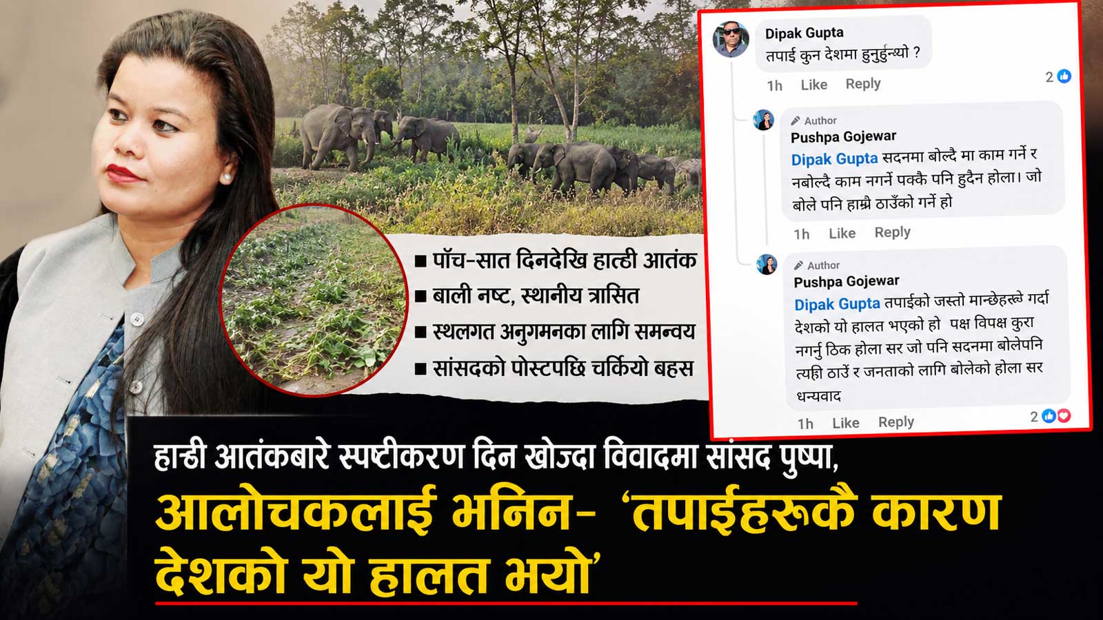 आलोचकसँग फेसबुकमै भिडिन् सांसद पुष्पा चौधरीः भनिन– तपाईं जस्तै मान्छेले देश बिगारे