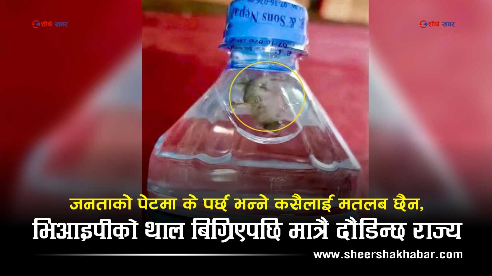 गृहमन्त्रीको अमलेटमा काँडा, सहायक सीडीओको थालमा शंखे किरा नसेलाउँदै सिरहामा भेटियो पानीको बोतलमा छेपारो