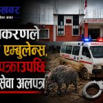 बँदेल काटिरहेको अवस्थामा नगरपालिकाका एम्बुलेन्स चालकसहित ४ जना पक्राउ, चालक थुनिएपछि एम्बुलेन्स घरमै थन्कियो