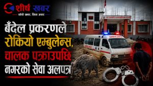 बँदेल काटिरहेको अवस्थामा नगरपालिकाका एम्बुलेन्स चालकसहित ४ जना पक्राउ, चालक थुनिएपछि एम्बुलेन्स घरमै थन्कियो