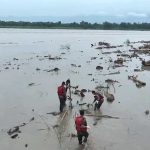 भोटेकोशी बाढीमा बगेका ७२ शव नारायणीबाट सेनाले निकाल्यो