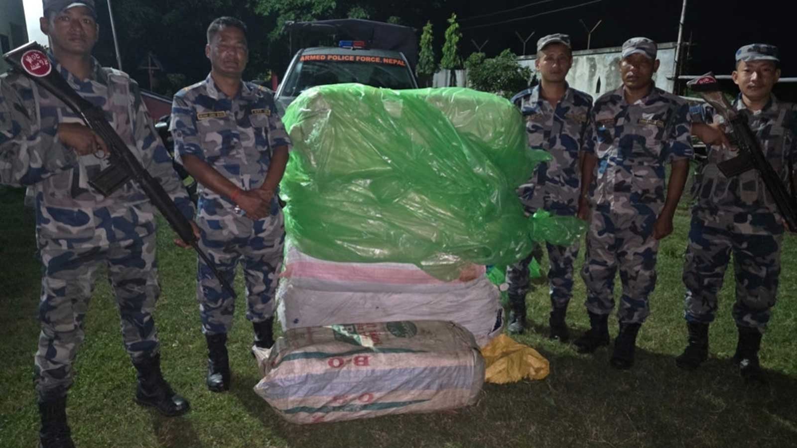 सप्तरीमा सिमलीको झाडीमा लुकाइएको १९० किलोभन्दा बढी गाँजा बरामद