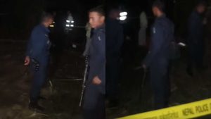 बारीमा अम्बा टिप्न आएकी ४ वर्षीया बालिकाको इँटाले हानेर हत्या, यसरी पक्राउ परे ५९ वर्षीय छिमेकी