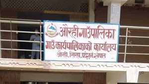सिरहाको औरही गाउँपालिकामा माछाको ‘पकेट’ कार्यक्रममा ८ लाख बढी भ्रष्टाचार, ४ जनाविरुद्ध मुद्दा