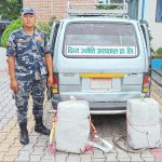 विराटनगरस्थित दिव्यज्योती अस्पतालको भ्यानबाट ६० किलो गाँजा बरामद