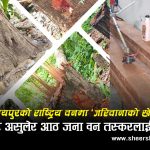राष्ट्रिय वनमा रुख कटान, सामुदायिक वनले ६५ हजार जरिवाना गरेर छाड्यो: डिभिजन वन भन्छ– ‘कारबाही गर्ने अधिकार छैन’